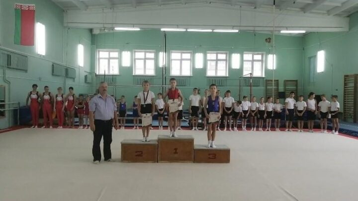 Чемпионат Витебской области по гимнастике спортивной среди юношей и девушек