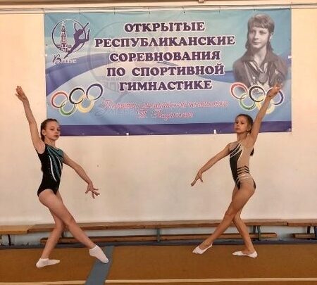 Открытое первенство Витебской области по гимнастике спортивной среди юношей и девушек