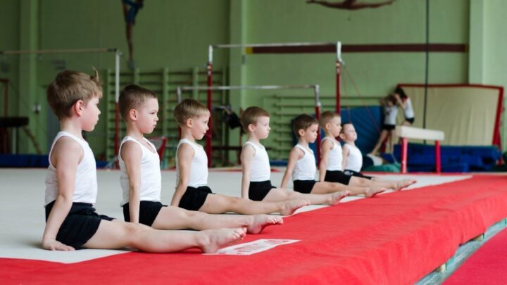 Открытый чемпионат Витебской области по гимнастике спортивной, посвященный 85-летию образования Витебской области