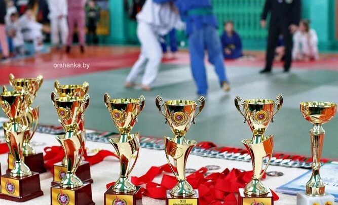 Открытый турнир СУСУ «Оршанская городская СДЮШОР», посвященный памяти воинов-интернационалистов погибших в Афганистане